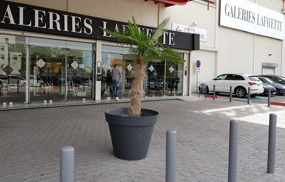 utiliser les points galerie Lafayette